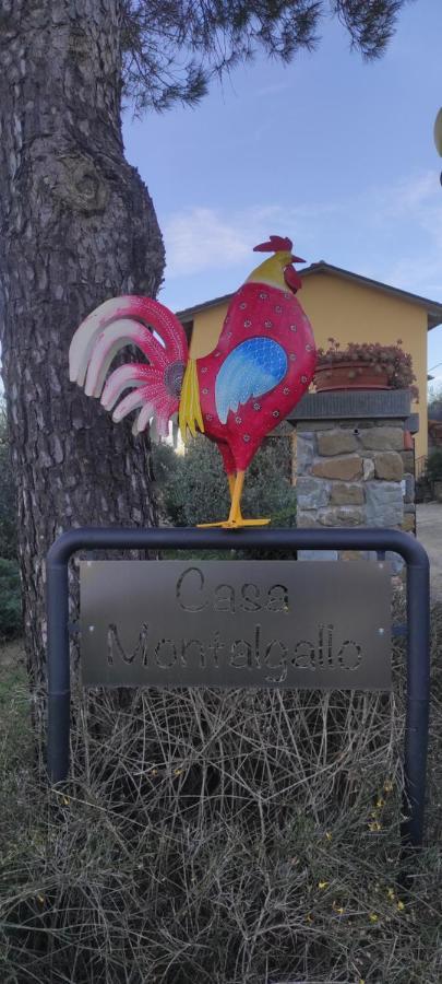 Casa Montalgallo 루치냐노 외부 사진
